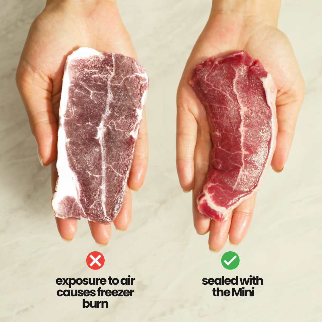 The Miniᵀᴹ Precision Vacuum Sealer