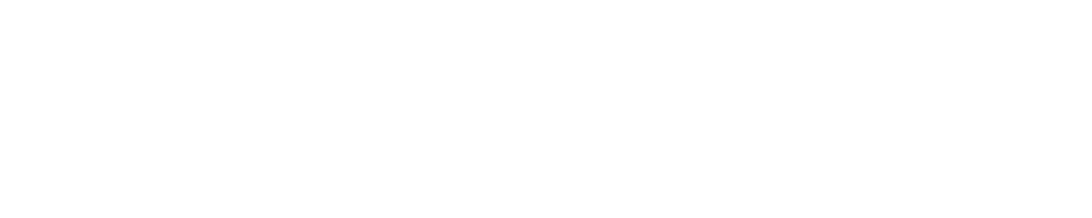Mason Genie